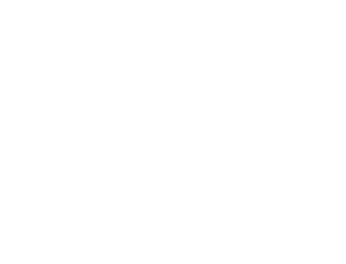 DS GmbH – Die Saubermänner